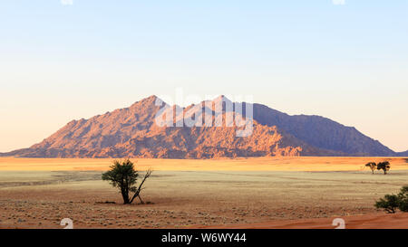 Dune di sabbia rossa e affioramenti granitici a Sesriem, Namibia. Foto Stock