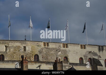 Amboise, valle della Loira, in Francia è noto per il castello di Amboise Foto Stock