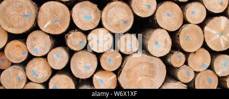 Un legno fresco polter in corrispondenza del bordo della foresta Foto Stock