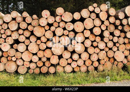 Un legno fresco polter in corrispondenza del bordo della foresta Foto Stock