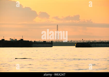 Vista del ponte di Amur a Khabarovsk durante il tramonto. Russia, Estremo Oriente Foto Stock