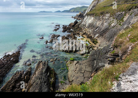 Affioramenti di robusti su scogliere sul mare a Dunmore testa sulla penisola di Dingle, nella contea di Kerry, Repubblica di Irlanda Foto Stock