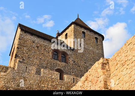 Bedzin medievale castello nel sud della Polonia. La fortificazione in pietra risale al XIV secolo. Europa Foto Stock