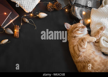 Inverno accogliente composizione con lo zenzero cat. Stagionale coziness Natale con gatto, soffici plaid, garland e libri. Casa accogliente e Natale hygge concetto, c Foto Stock