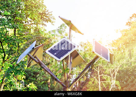 Risparmio energetico - installazione di pannelli solari nella forma di un albero, illuminata dal sole. Foto Stock