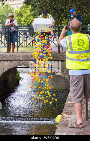 Bournemouth Dorset, Regno Unito. Il 3° agosto 2019. 2000 toy anatre gara al flusso di Bourne in Giardini inferiori di Bournemouth nel corso di oggi e di domani. Organizzato da East Cliff Rotary Club con proventi andando per le associazioni di beneficenza locali l'evento è sicuro di essere quackers! La folla girare fuori a fare il tifo per le anatre nella speranza di loro sarà il vincente. Il ribaltamento in anatre per la partenza della gara. Credito: Carolyn Jenkins/Alamy Live News Foto Stock