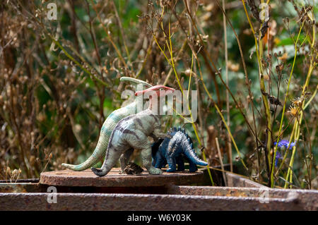 Un gruppo di piccoli toy parasaurolophus dinosauri in piedi in un giardino di fronte all'erba alta Foto Stock