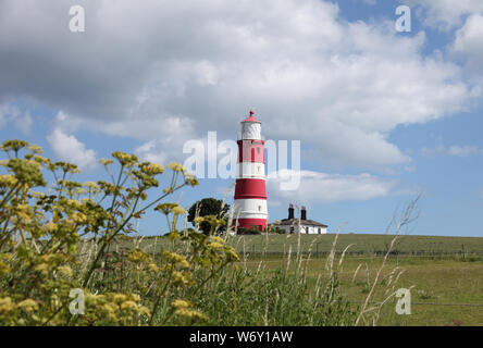 Risalente al 1790, 85ft faro in un campo situata nell'entroterra sopra la spiaggia di Happisburgh, Norfolk in estate, una costa sotto la minaccia di erosione Foto Stock