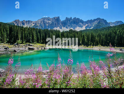 Il lago di Carezza con fiori selvatici la foresta e la Montagna, Dolomiti, Italia. Foto Stock