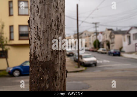 Utility di legno pole per potere con centinaia di punti metallici dagli ultimi inserimenti e manifesti in quartiere Foto Stock
