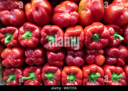 Peperoni rossi impilati sui lati in negozio di alimentari Foto Stock