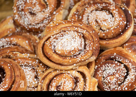 Vista di lumache di cannella, un tradizionale pasticceria in Svezia. Foto Stock