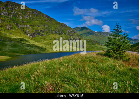 Loch Restil (INVC2) Foto Stock