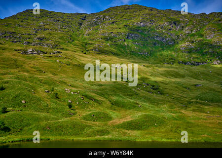 Loch Restil (INVC2) Foto Stock