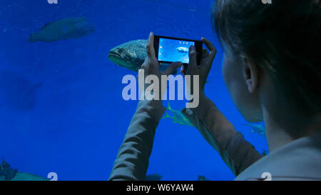 La donna prende la foto in oceanarium Foto Stock