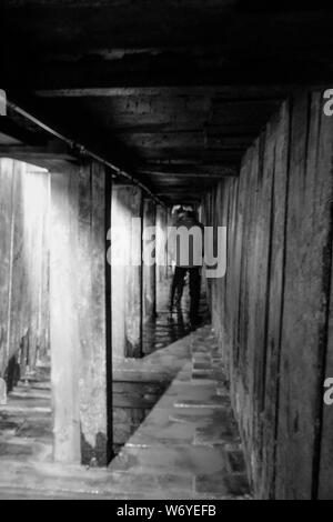 Al di sotto di thr Prima Guerra Mondiale trincee, mentre scaricata dell acqua di inondazione ora reflooded. Raro scorgere; Foto Stock