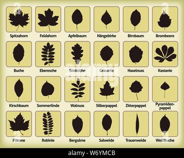 Foglie di vettore di fogliame delineare foresta decidua isolato Illustrazione Vettoriale