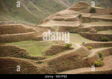 Immagine di pittoreschi terreni di montagna con vegetazione verde,strada d'estate Foto Stock