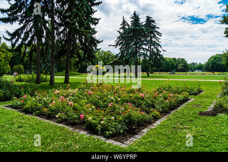 Budapest, Ungheria - Luglio 08, 2019: l'Isola di Margaret sul Danubio tra Buda e Pest, è una tranquilla area verde della città. Il passaggio pedonale Foto Stock