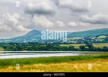 Lago Llangorse nel Parco Nazionale di Brecon Beacons Powys ed è il più grande lago naturale in Galles del Sud Foto Stock