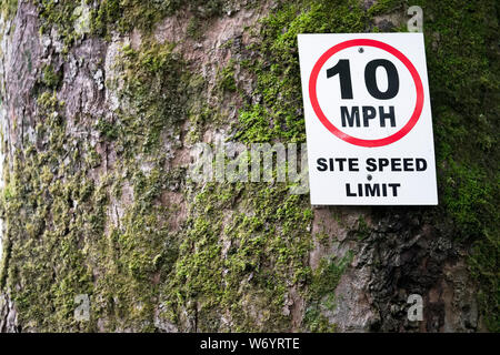 10 mph sito in costruzione velocità segno di sicurezza Foto Stock