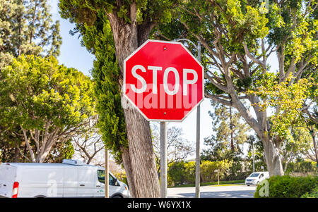 Arrestare cartello stradale su un incrocio. Blur alberi e cielo blu sullo sfondo. Soleggiata giornata di primavera in California Foto Stock