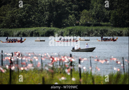 New York, Stati Uniti d'America. Il 3° agosto 2019. I partecipanti competono durante la XXIX Hong Kong Dragon Boat Festival in New York, Stati Uniti, e il Agosto 3, 2019. Più di 2.500 canottieri si sono riuniti presso la Corona Park a New York City il Queens borough di sabato per il kick off del 29 Hong Kong Dragon Boat Festival, uno dei più grandi del suo genere negli Stati Uniti. Credito: Wang Ying/Xinhua/Alamy Live News Foto Stock