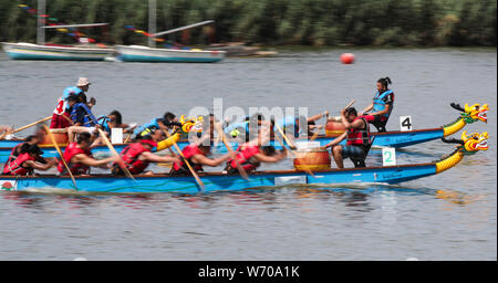 New York, Stati Uniti d'America. Il 3° agosto 2019. I partecipanti competono durante la XXIX Hong Kong Dragon Boat Festival in New York, Stati Uniti, e il Agosto 3, 2019. Più di 2.500 canottieri si sono riuniti presso la Corona Park a New York City il Queens borough di sabato per il kick off del 29 Hong Kong Dragon Boat Festival, uno dei più grandi del suo genere negli Stati Uniti. Credito: Wang Ying/Xinhua/Alamy Live News Foto Stock