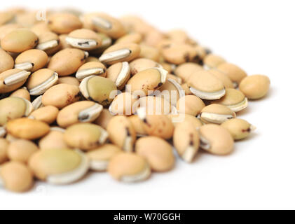 Close up lablab purpureus bean Foto Stock