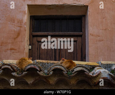 Gatti di dormire sul tetto di tegole, nell'antica città di Cuenca, Spagna Foto Stock