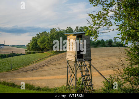 Hunter alta nel pomeriggio dorato Foto Stock