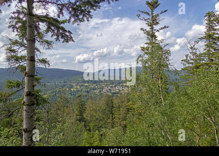 Foresta Vicino a Bayerisch Eisenstein, Foresta Bavarese, Baviera, Germania Foto Stock