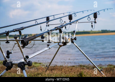 Guardando lungo tre aste di carpe verso un laghetto. La pesca alla carpa. Foto Stock