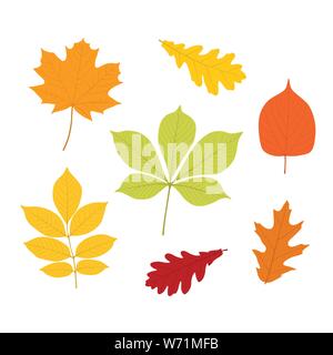 Foglie di autunno set, isolati su sfondo bianco. semplice cartoon stile piatto Illustrazione Vettoriale