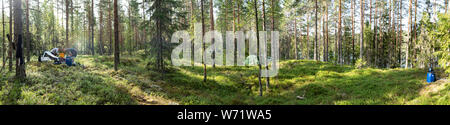 Campeggio selvaggio in una foresta - panorama Foto Stock