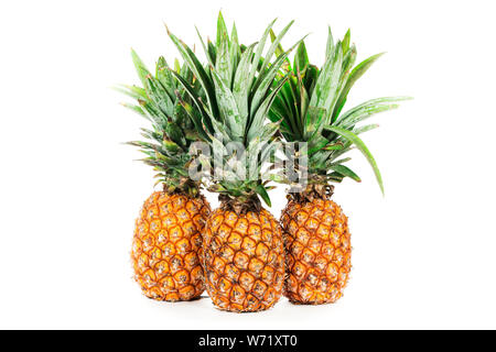 Ananas frutta con foglie isolati su sfondo bianco. Studio professionale di fotografia. Ancora vita tre di giallo ananas maturi su bianco backgr isolato Foto Stock