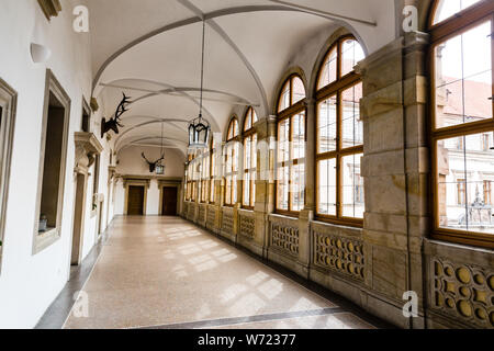 Sala dei trofei in museo, nessuno, Europa Foto Stock