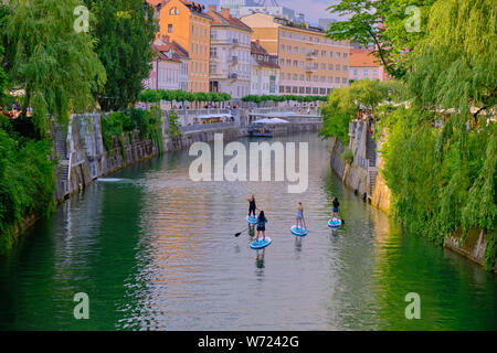 Giro turistico in piedi su pedalata lungo il fiume attraverso il centro storico della città di Lubiana, Slovenia, giugno 2019 Foto Stock