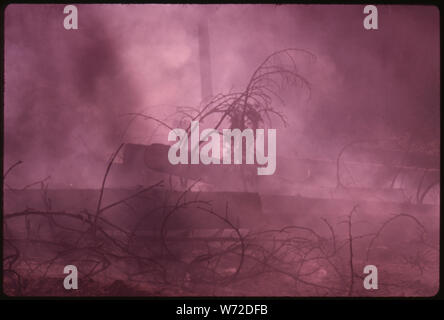 IN AGOSTO, 1973 un grande incendio di foresta spazzato attraverso 17,470 acri del versante occidentale della catena montuosa della Sierra vicino sonora FIRE brucia ancora in prossimità di una sezione deselezionata nella parte del totale area di masterizzazione chiamato fuoco di granito. Foto Stock