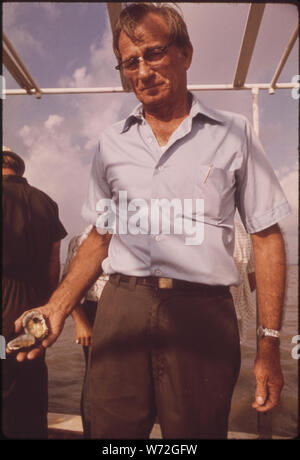 Lago BORGNE OYSTERMEN rivendicazione rilascio del fiume Mississippi le acque di esondazione ha inquinato il loro OYSTERBEDS. Alcuni di questi uomini sono la raccolta di elementi di prova a sostegno di azioni legali. OYSTERMAN TOM HADLEY mostra un malato OYSTER Foto Stock