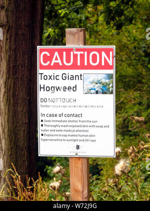 Segnale di avvertimento per indicare le sostanze velenose Giant Hogweed Heracleum mantegazzianum con istruzioni per il primo soccorso Foto Stock