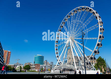 Rotterdam, Paesi Bassi. Giugno 27, 2019. Parco Markthal, ruota panoramica Ferris e il Cityscape, molla giornata di sole Foto Stock