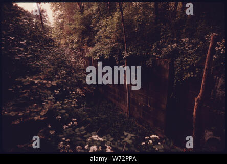 OHIO-Canale Erie pareti e i letti sono coperti dalla natura a nord della strada principale penisola, OHIO, vicino a Akron. Il canale collegato i grandi laghi con la Ohio e del Mississippi River Systems tra il 1833 e il 1913 quando una disastrosa alluvione E DALLA CONCORRENZA DI FERROVIE METTERE LE VIE NAVIGABILI DI FUORI DELL'AZIENDA. Ora è una parte di Cuyahoga Valley National Recreation Area si trova tra i quartieri di METROPOLITANA DI CLEVELAND E AKRON. Il National Park Service sta lavorando su un piano maestro Foto Stock