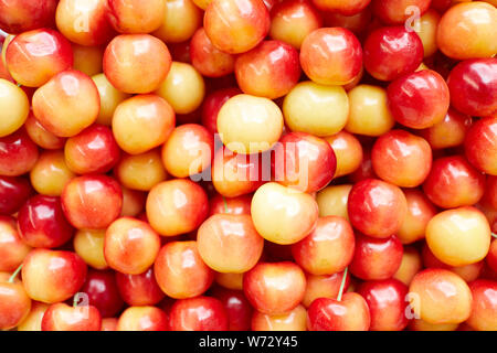 Immagine di sfondo di fresche Ciliege luccicanti stabiliti al mercato degli agricoltori, spazio di copia Foto Stock