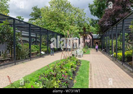 Visitatori allo Zoo Artis Amsterdam guardando al santuario degli uccelli Foto Stock