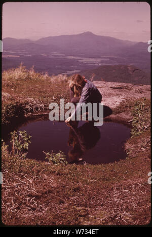 Piccolo TARN (piscina di acqua) sulla cima di un affioramento di roccia vicino alla cima della montagna di Algonquin nella foresta di ADIRONDACK PRESERVARE LO STATO DI NEW YORK. Tali piscine sono a pochi centimetri di profondità e sono in gran parte mantenuta dalle acque piovane Foto Stock