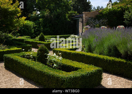 Topiaria da scatola di copertura e sentieri di ghiaia nel giardino inglese, Inghilterra Foto Stock