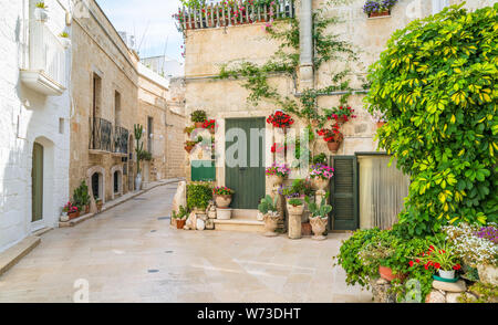 Vista panoramica a Monopoli, provincia di Bari, Puglia), il sud dell'Italia. Foto Stock