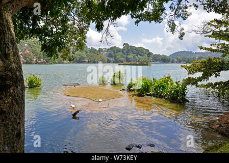 Vista con la cornice del Lago Kandy, Kandy, Sri Lanka Foto Stock