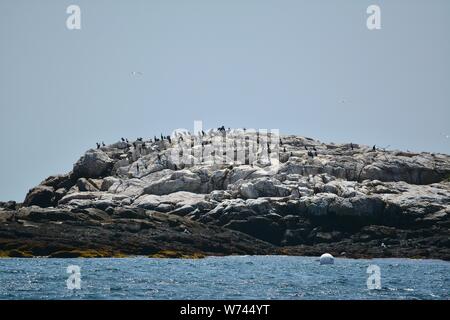 Viste intorno Portsmouth Porto e l'isola di Shoals al largo delle coste del New Hampshire e del Maine, New England, Stati Uniti d'America Foto Stock